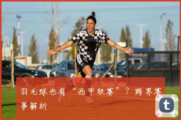 羽毛球也有“西甲联赛”？跨界赛事解析