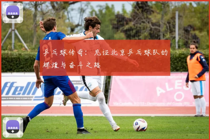 乒乓球传奇：见证北京乒乓球队的辉煌与奋斗之路