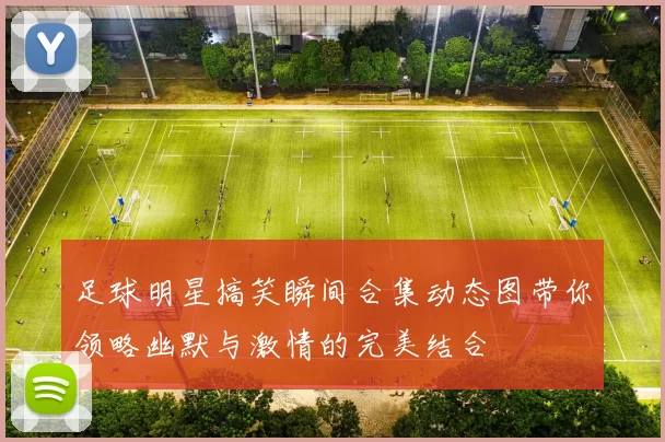 足球明星搞笑瞬间合集动态图带你领略幽默与激情的完美结合