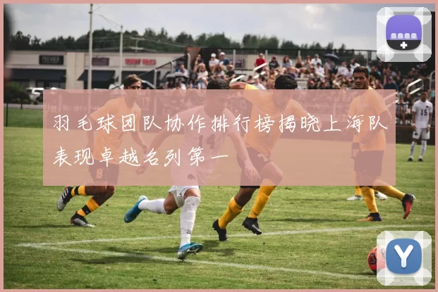 羽毛球团队协作排行榜揭晓上海队表现卓越名列第一