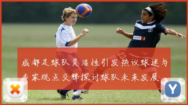 成都足球队灵活性引发热议球迷与专家观点交锋探讨球队未来发展