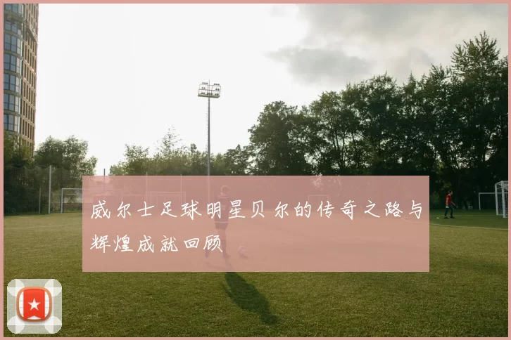 威尔士足球明星贝尔的传奇之路与辉煌成就回顾