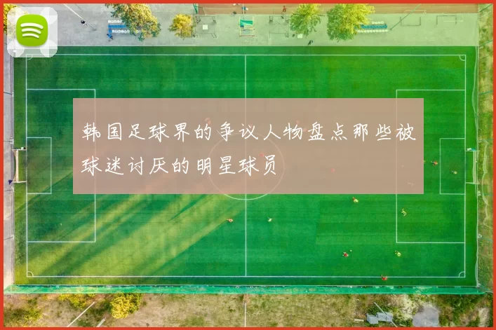 韩国足球界的争议人物盘点那些被球迷讨厌的明星球员