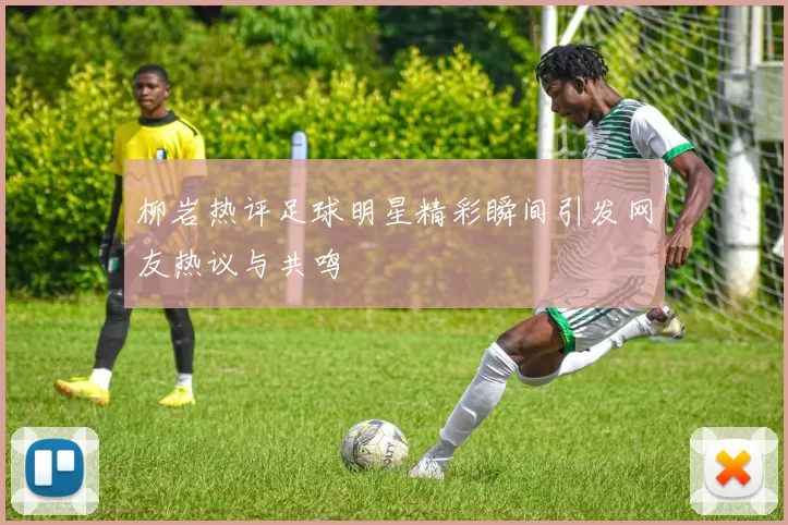 柳岩热评足球明星精彩瞬间引发网友热议与共鸣